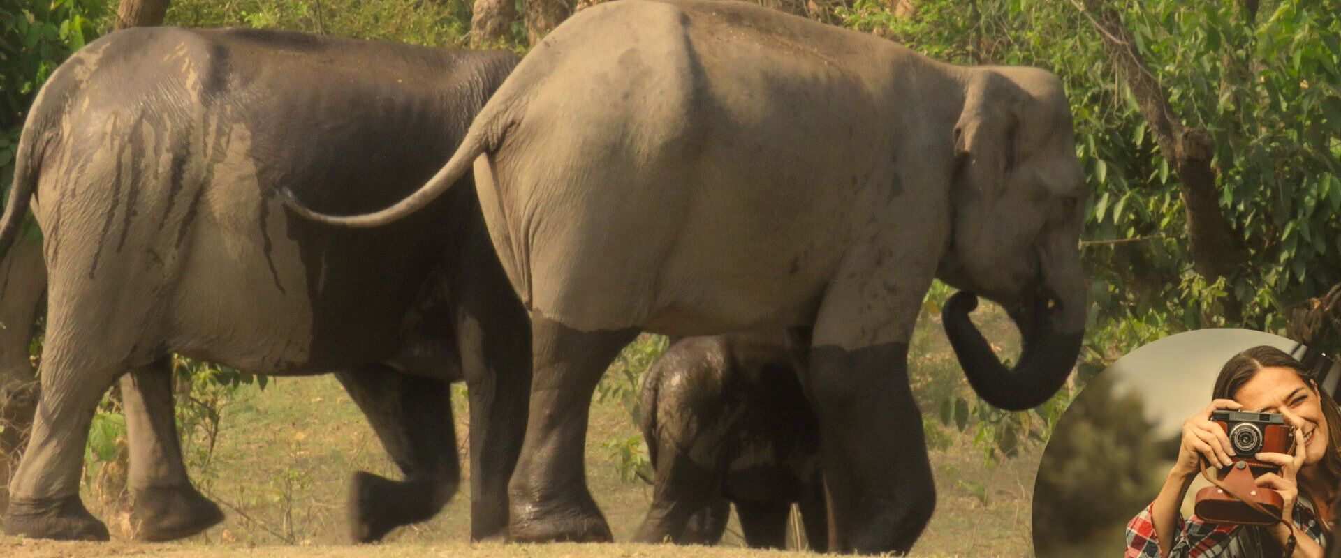 Jhilmil Jheel Conservation Reserve