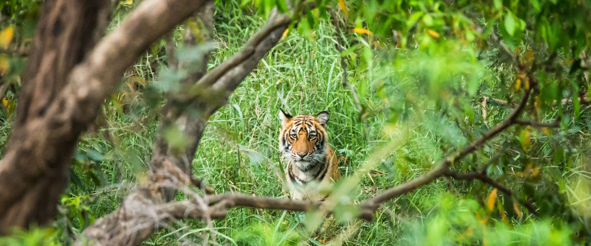 Kalagarh Tiger Reserve